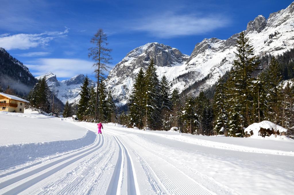 Apartments Alpenfrieden Sankt Martin am Tennengebirge Zewnętrze zdjęcie