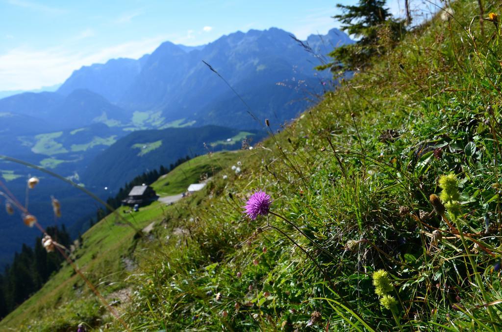 Apartments Alpenfrieden Sankt Martin am Tennengebirge Zewnętrze zdjęcie