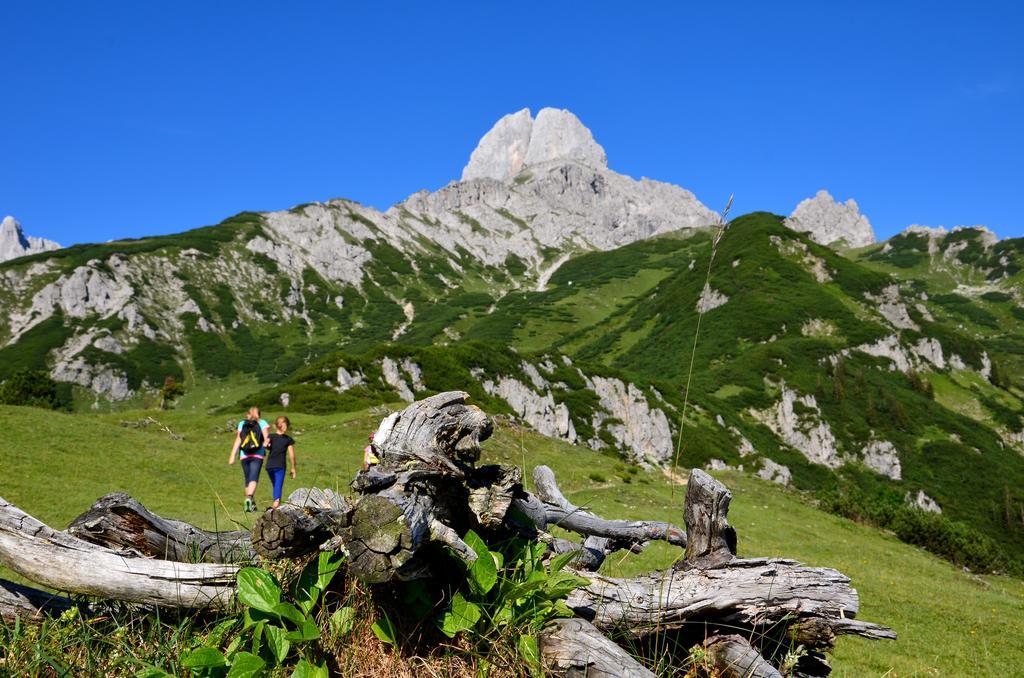 Apartments Alpenfrieden Sankt Martin am Tennengebirge Zewnętrze zdjęcie