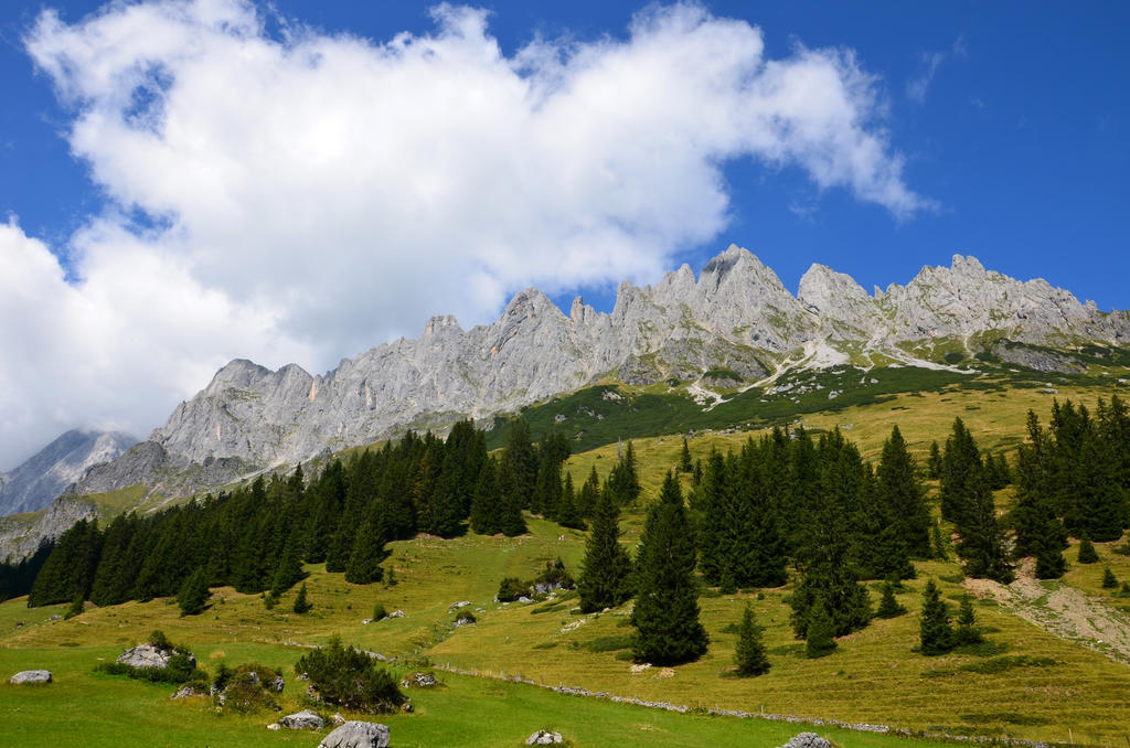 Apartments Alpenfrieden Sankt Martin am Tennengebirge Zewnętrze zdjęcie