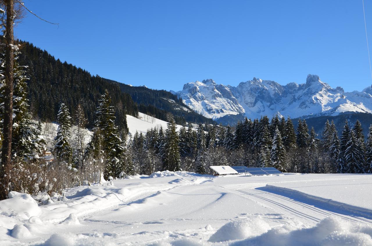 Apartments Alpenfrieden Sankt Martin am Tennengebirge Zewnętrze zdjęcie
