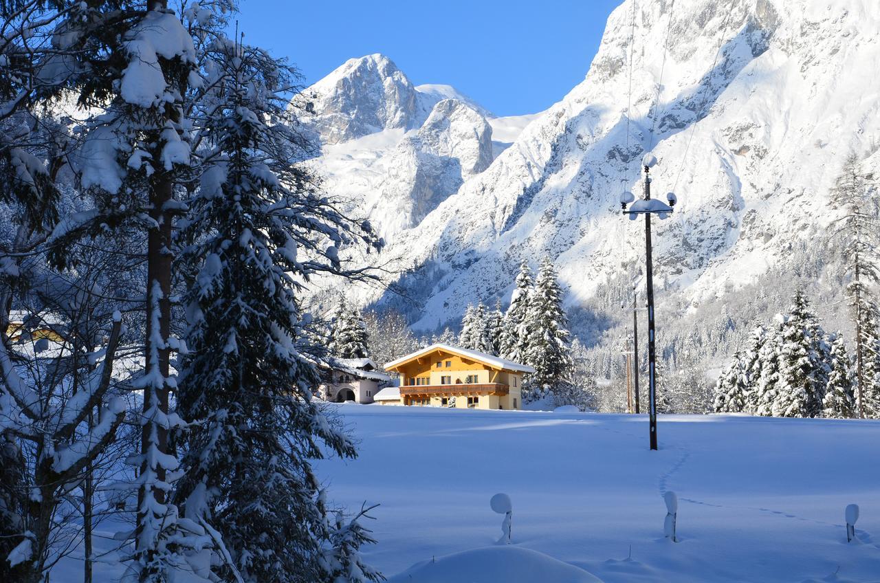 Apartments Alpenfrieden Sankt Martin am Tennengebirge Zewnętrze zdjęcie